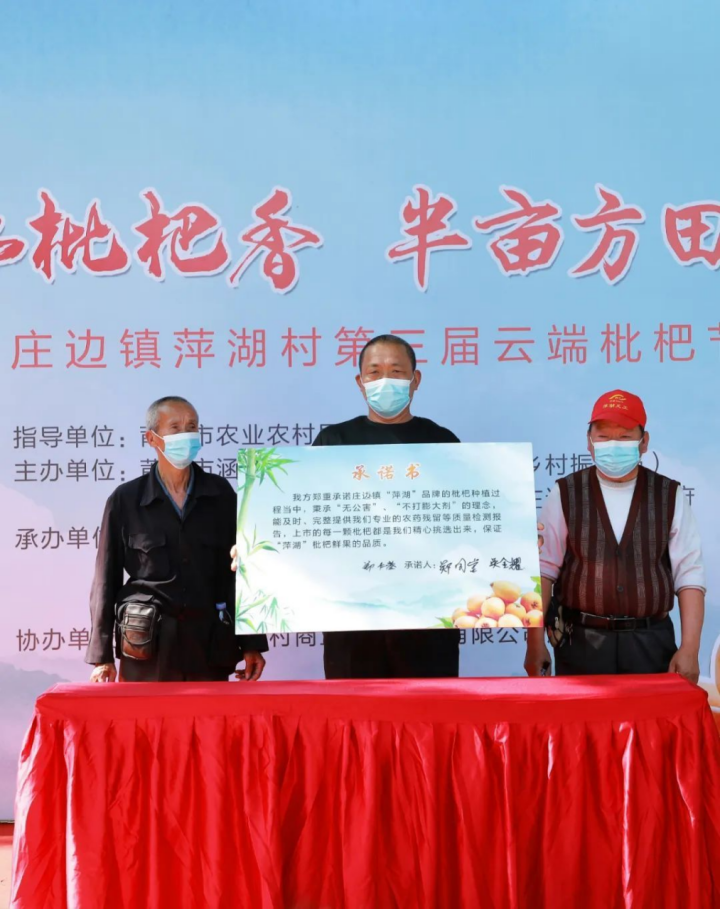 莆田枇杷，中国之最2364.png