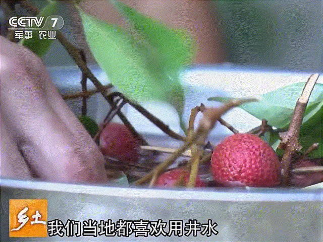 a_706650575541891072.gif