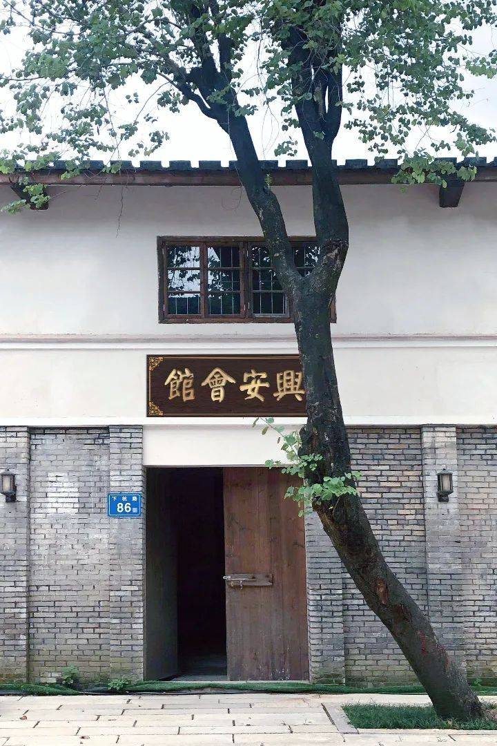 莆田龙眼，最好的桂圆、最早的莆商3838.png
