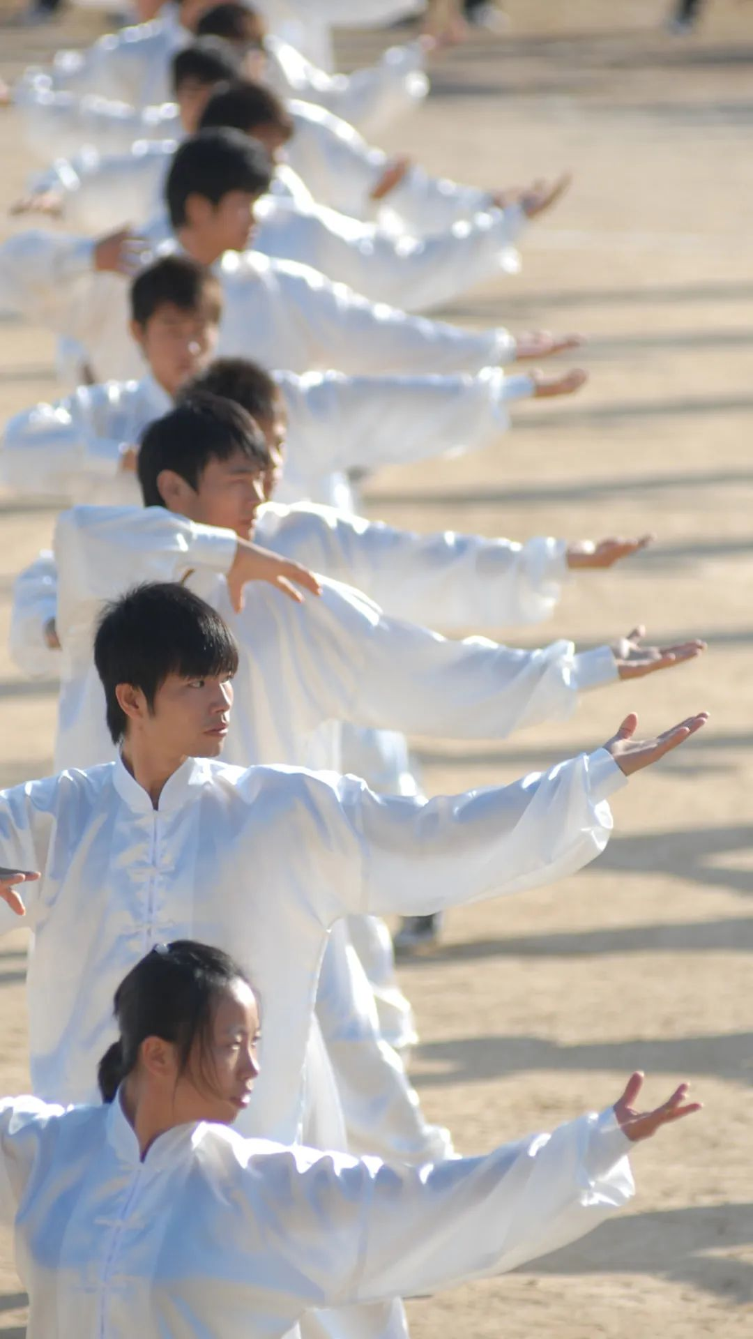 莆田这十年3220.png